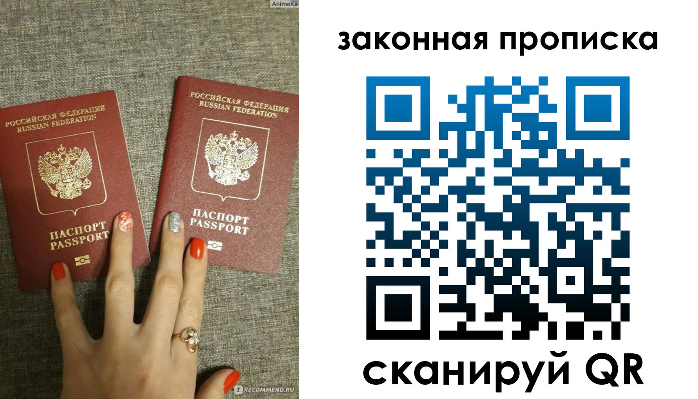 прописка для школы в Коле