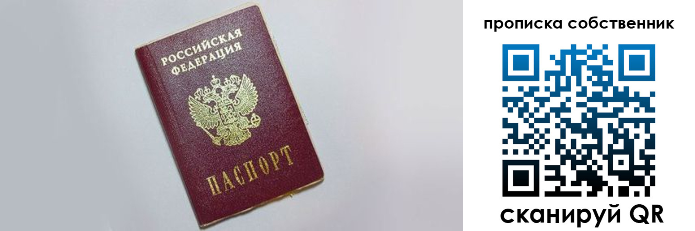 где прописаться в Коле