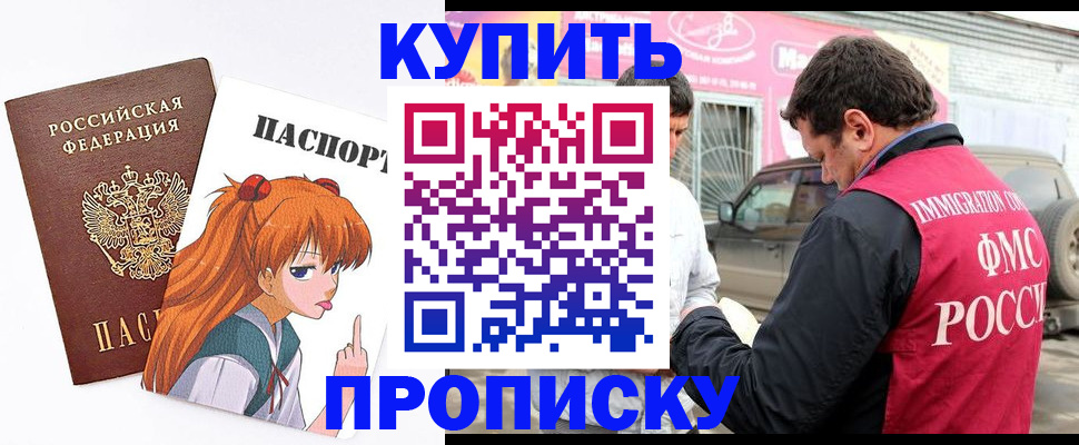 где прописаться в Коле